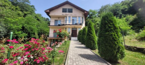 Casa Patryk